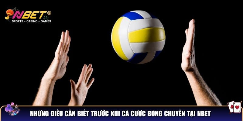 Những điều cần biết trước khi cá cược bóng chuyền tại NBET