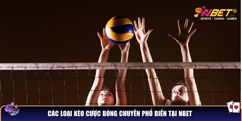 Các loại kèo cược bóng chuyền phổ biến tại NBET