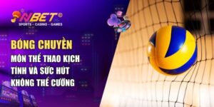 Khám Phá Bóng Chuyền – Luật Chơi, Kỹ Thuật Và Sự Hấp Dẫn